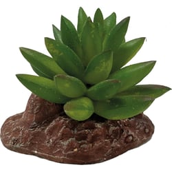 Plante artificielle Repto Plant – Aloes