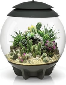 Terrarrium Oase biOrb AIR 30