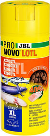 JBL Pronovo Lotl Grano XL aliment complet pour grands axolotls