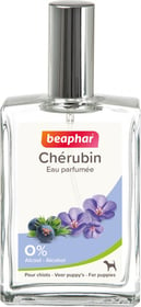 Eau parfumée pour chien et chiot