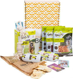 Coffret découverte friandises pour chien Dailys avec jouet OFFERT