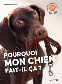 Pourquoi mon chien fait-il ça ? - Editions Ulmer