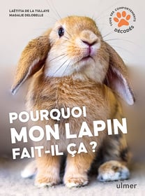 Pourquoi mon lapin fait-il ça ? - Editions Ulmer