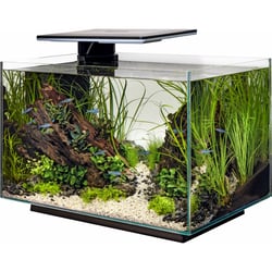 Aquarium SuperFish Quadro 70 - 2 modèles, 2 couleurs