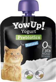 Prebiotischer Joghurt für Katzen Yow Up!