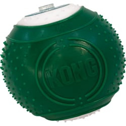 KONG Hundespielzeug Dental Ball Kit