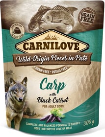 CARNILOVE Sachet fraîcheur à la Carpe avec carotte noire pour chien