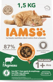 IAMS Advanced Nutrition briketi za odrasle mačke z jagnjetino