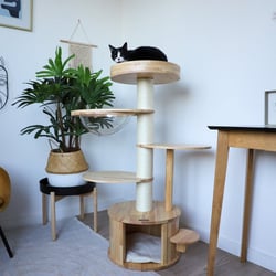 Arbre à chat en bois - 122 cm - Zolia Siam