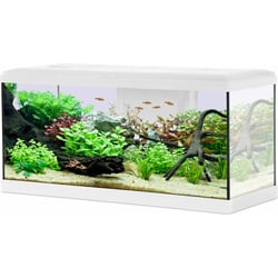 Kit aquarium TANA LED 60cm - 63L