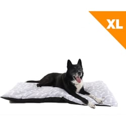 Coussin pour chien Zolia Kyle - 4 tailles