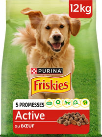 Friskies Active z govedino za odrasle pse