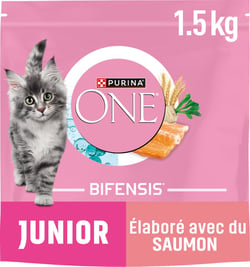 PURINA ONE Chat Junior Croquettes au saumon 