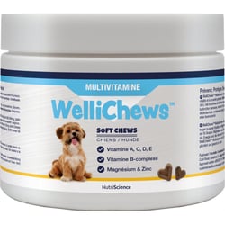 PRODEN NUTRISCIENCE WelliChews Multivitamine für Hunde