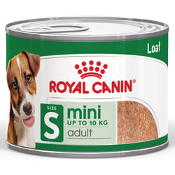 Royal Canin Mini Adult in Mousse