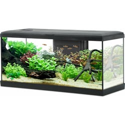 Kit aquarium TANA LED 80 cm - 84L