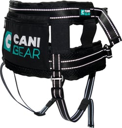 CANI GEAR Ceinture ventrale Olympia