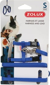 Kit harnais petits mammifères Casual bleu