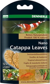 DENNERLE Nano Catappa Leaves pour l'entretien naturel de l'eau et complément alimentaire