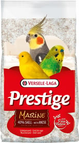 Prestige Premium Marine Fond de cage sable blanc à l'anis avec 40% d'écailles