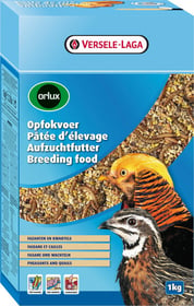 Orlux Aufzuchtfutter für Fasane & Wachteln