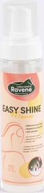 RAVENE Easy Shine pena za odstranjevanje madežev