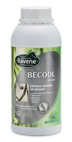 RAVENE Becool solution