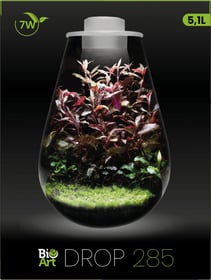 SuperFish Bio Art - Mini-Terrarium 3 Modelle