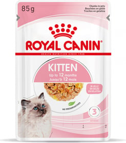 ROYAL CANIN Kitten in Gelee für Kätzchen von 4 bis 12 Monaten