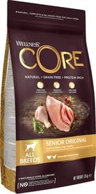 WELLNESS CORE Original Senior Croquettes à la dinde et au poulet pour chien senior