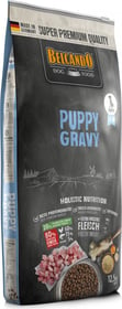 BELCANDO Puppy Gravy pour chiot