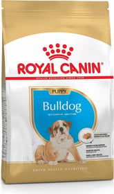 Royal Canin Bulldog Anglais Junior 