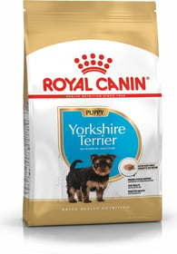 Royal Canin Breed Yorkshire Terrier Junior 