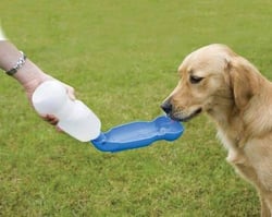 Gourde pour chien Aquaboy