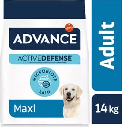 Advance Maxi Adult Poulet pour Chien Adulte de Grande Taille