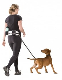 Ceinture ventrale avec laisse pour petit chien