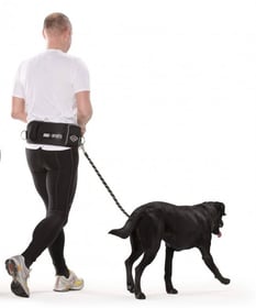 Ceinture ventrale avec laisse pour grand chien