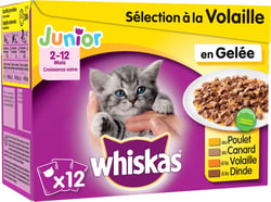 Whiskas Fleisch und Fisch in Gelee Junior, 4 Geschmacksrichtungen