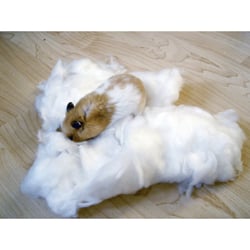 Coton pour hamster 30g