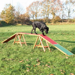 Passerelle Dogwalk Agility