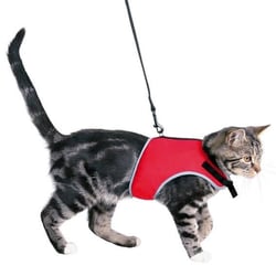 Harnais soft avec laisse pour chats - XL