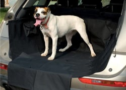 Protège coffre voiture pour chien