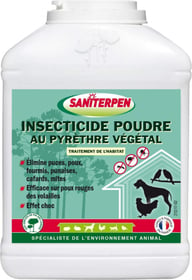 Insecticide en poudre au Pyrèthre Végétal Saniterpen