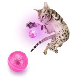 Cat-Flash Ball - Balle lumineuse pour chat 