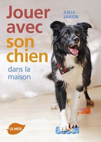 Jouer avec son chien dans la maison