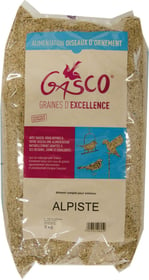 Graines Alpiste GASCO