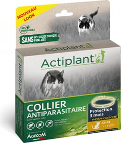 ACTI Halsband für Katzen, phosphoreszierend 