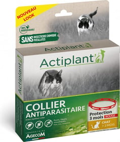 ACTI COLLIER Katzen rot