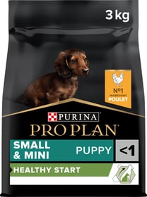 PRO PLAN Chien Small & Mini Puppy Healthy Start pour chiot