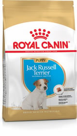 Royal Canin Breed Jack Russell Puppy